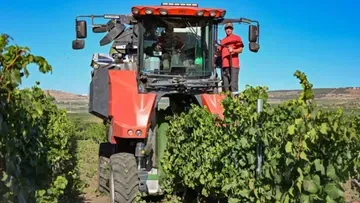 Благодаря господдержке севастопольские аграрии приобрели 261 единицу сельхозтехники